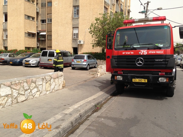 fireinyaffaw5 (6).JPG